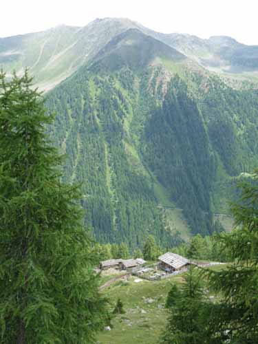 Ultental-2-Breitbichl-Urlaerchen-019