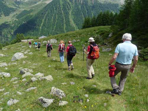 Ultental-2-Breitbichl-Urlaerchen-020