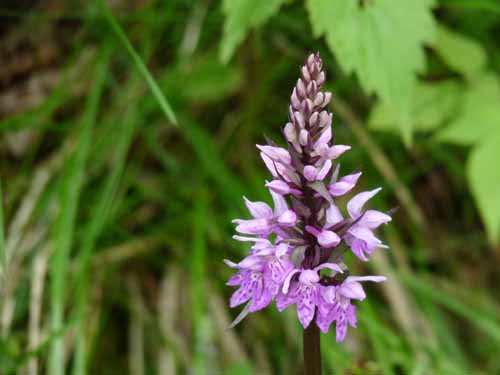 Ultental-2-Breitbichl-Urlaerchen-021