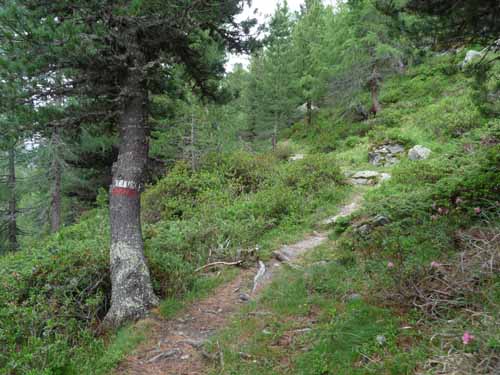 Ultental-4-Pilsbergalmen-031