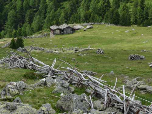 Ultental-4-Pilsbergalmen-033