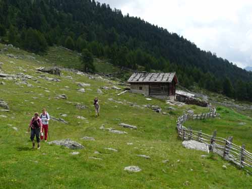 Ultental-4-Pilsbergalmen-038
