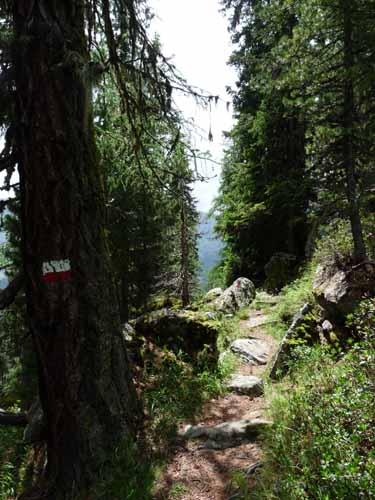 Ultental-4-Pilsbergalmen-053