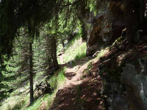 Ultental-4-Pilsbergalmen-054