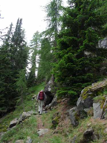 Ultental-4-Pilsbergalmen-067