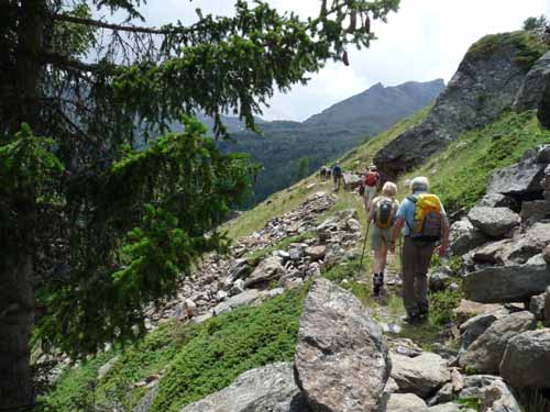 Ultental-4-Pilsbergalmen-078