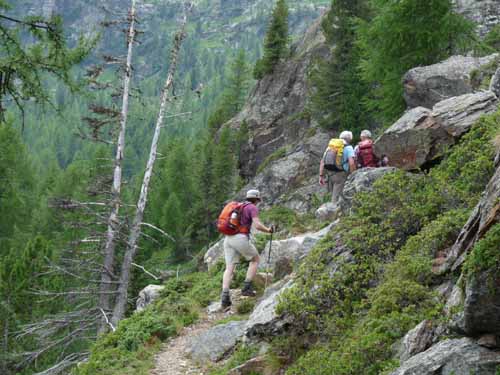 Ultental-4-Pilsbergalmen-081