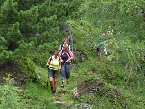 Ultental-4-Pilsbergalmen-084