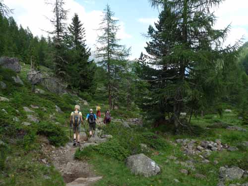 Ultental-4-Pilsbergalmen-090