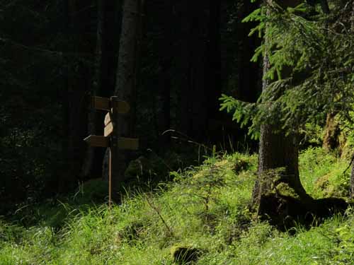 Ultental-5-Spitzer-Pfandl-Seegruben-Alm-101