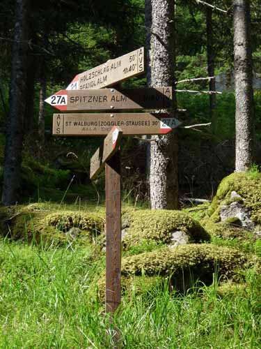 Ultental-5-Spitzer-Pfandl-Seegruben-Alm-103