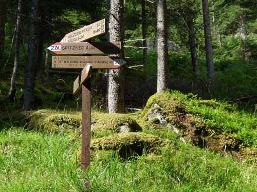 Ultental-5-Spitzer-Pfandl-Seegruben-Alm-104