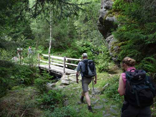 Ultental-5-Spitzer-Pfandl-Seegruben-Alm-106