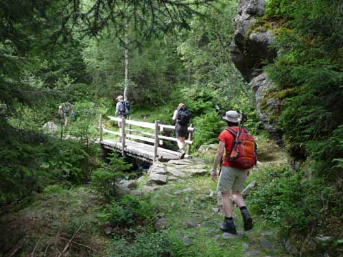Ultental-5-Spitzer-Pfandl-Seegruben-Alm-108