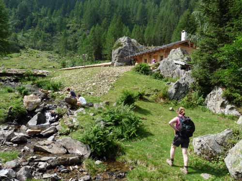 Ultental-5-Spitzer-Pfandl-Seegruben-Alm-109
