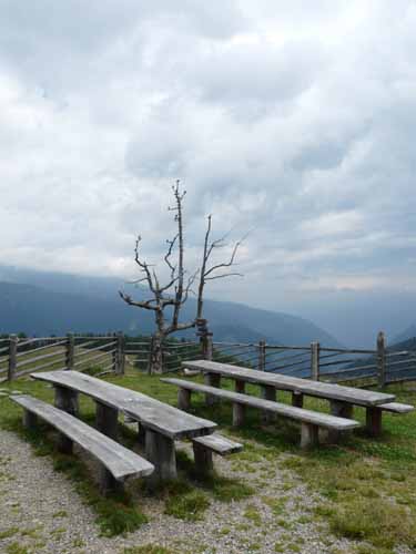 Ultental-5-Spitzer-Pfandl-Seegruben-Alm-117