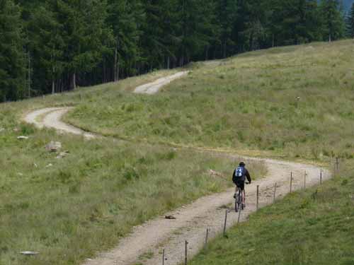Ultental-5-Spitzer-Pfandl-Seegruben-Alm-120