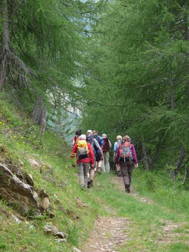 Ultental-5-Spitzer-Pfandl-Seegruben-Alm-127