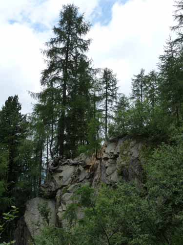 Ultental-5-Spitzer-Pfandl-Seegruben-Alm-128