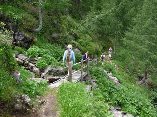 Ultental-5-Spitzer-Pfandl-Seegruben-Alm-130