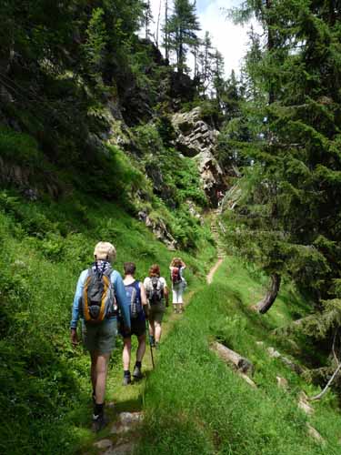 Ultental-5-Spitzer-Pfandl-Seegruben-Alm-131