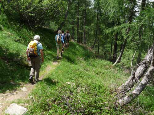 Ultental-5-Spitzer-Pfandl-Seegruben-Alm-134