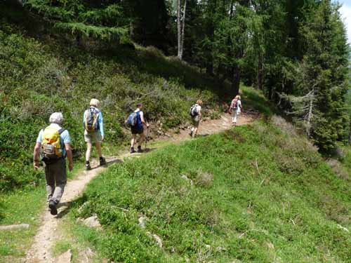 Ultental-5-Spitzer-Pfandl-Seegruben-Alm-135