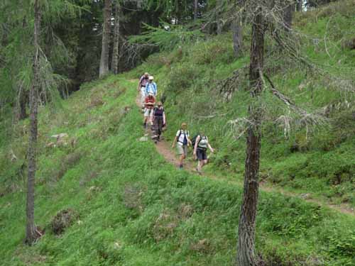 Ultental-5-Spitzer-Pfandl-Seegruben-Alm-141