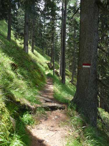 Ultental-5-Spitzer-Pfandl-Seegruben-Alm-142