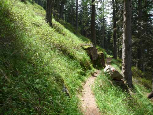 Ultental-5-Spitzer-Pfandl-Seegruben-Alm-143