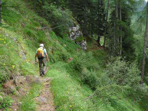 Ultental-5-Spitzer-Pfandl-Seegruben-Alm-145