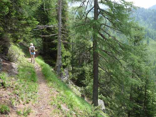 Ultental-5-Spitzer-Pfandl-Seegruben-Alm-148