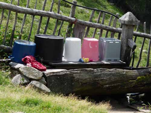 Ultental-5-Spitzer-Pfandl-Seegruben-Alm-156