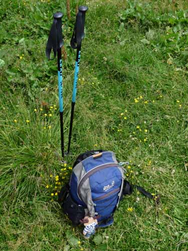 Ultental-5-Spitzer-Pfandl-Seegruben-Alm-158