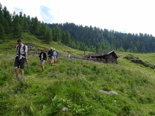 Ultental-5-Spitzer-Pfandl-Seegruben-Alm-160