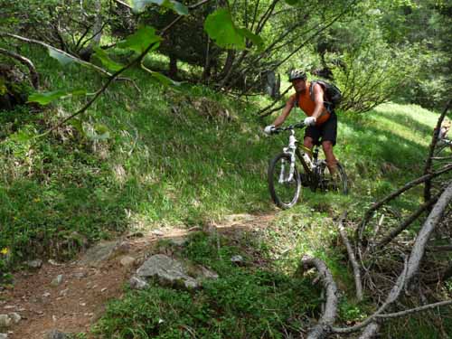 Ultental-5-Spitzer-Pfandl-Seegruben-Alm-166