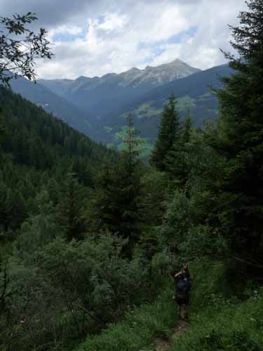 Ultental-5-Spitzer-Pfandl-Seegruben-Alm-170