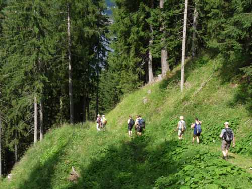 Ultental-5-Spitzer-Pfandl-Seegruben-Alm-174