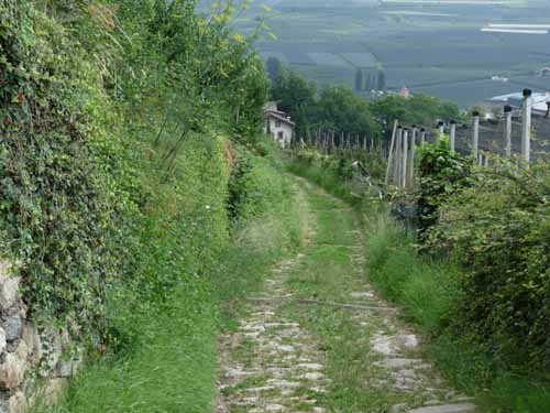 Ultental-6-Marlinger-Wege-176