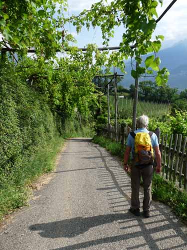 Ultental-6-Marlinger-Wege-178