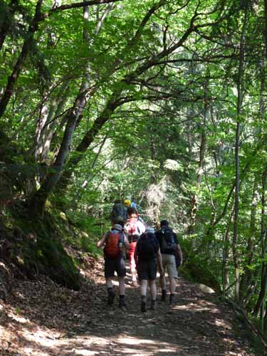 Ultental-6-Marlinger-Wege-199