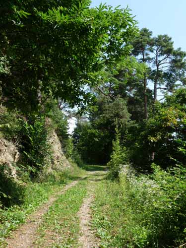 Ultental-6-Marlinger-Wege-211