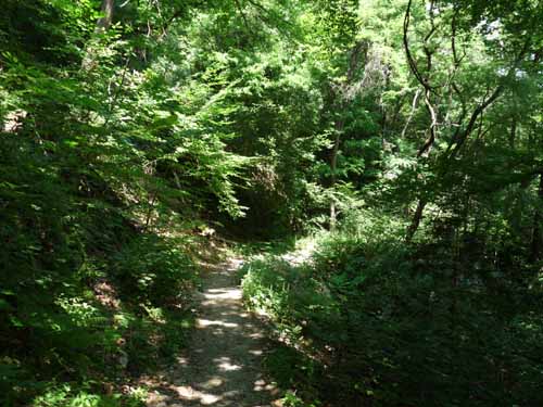 Ultental-6-Marlinger-Wege-216