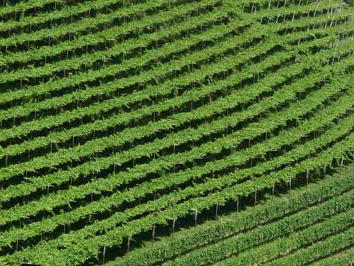 Ultental-6-Marlinger-Wege-231