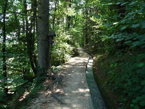 Ultental-6-Marlinger-Wege-232