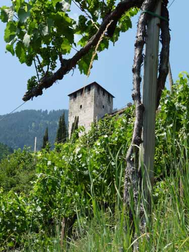 Ultental-6-Marlinger-Wege-238