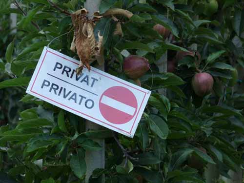 Ultental-6-Marlinger-Wege-254