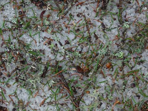 Ultental-7-Kofelraster-Seen-270