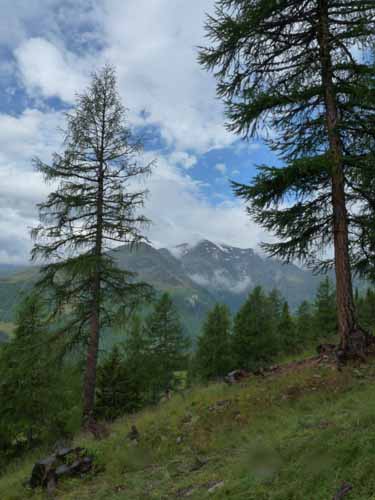 Ultental-7-Kofelraster-Seen-284