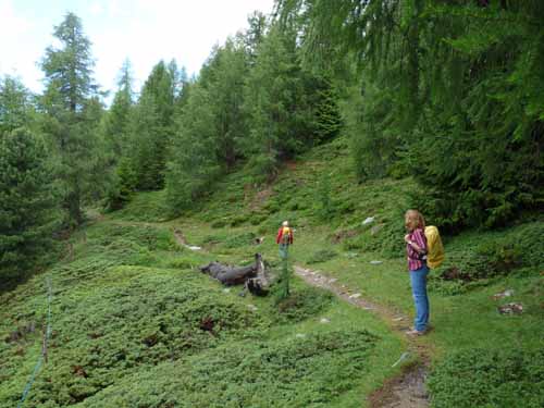 Ultental-7-Kofelraster-Seen-304